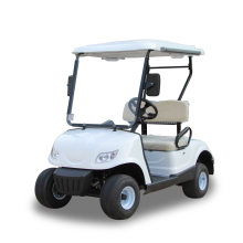 2020 Hot Selling 2 Passenger Golf Cart for USA Market